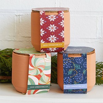 Modern Sprout  Holiday Tiny Terracotta Trio