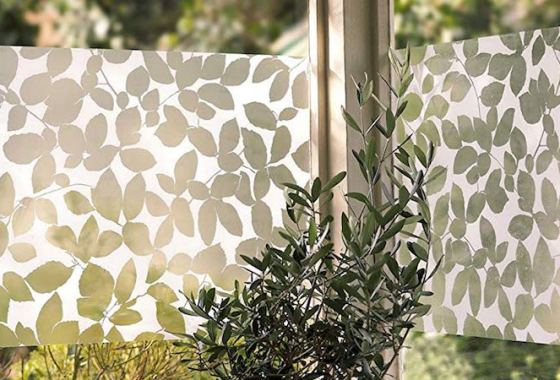 Best Window Films