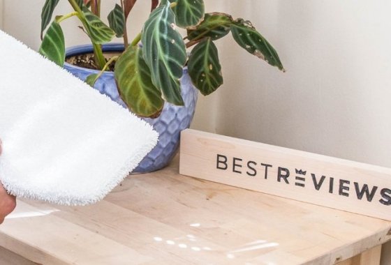 Best Hardwood Floor Mops