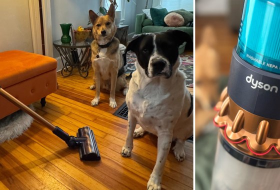 Finally, a cordless vacuum that really works on pet hair