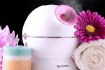 ionic facial steamer