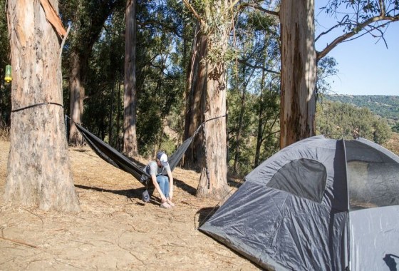 Best backpacking cot