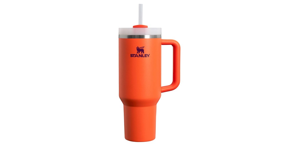 Stanley Quencher H2.0 Tumbler with Handle and Straw 40 oz in Tigerlily Plum Stanley Quencher H2.0 Tumbler with Handle and Straw 40 oz in Tigerlily Plum