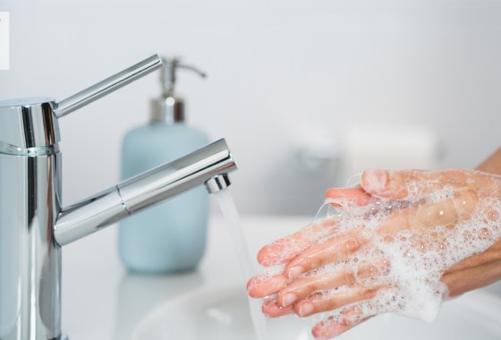 Best cruelty-free hand soap
