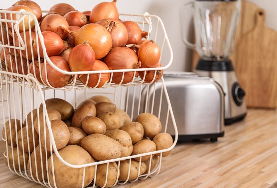 Best potato storage bin