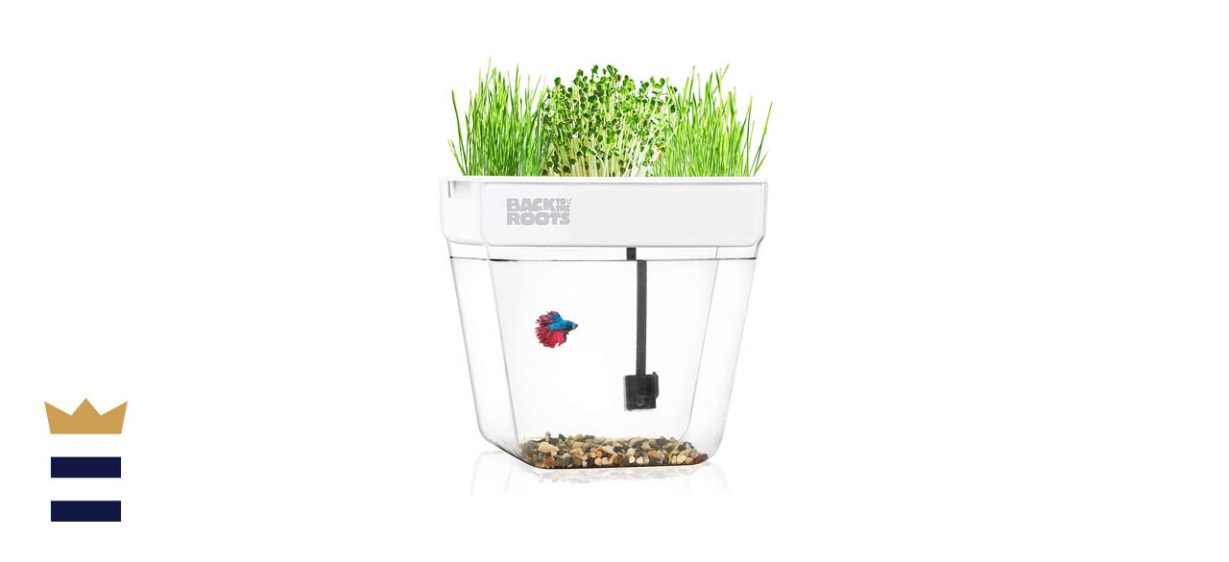 Back To The Roots Water Garden