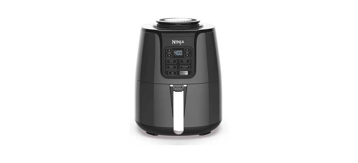 best Ninja Air Fryer