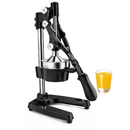 New Star Foodservice