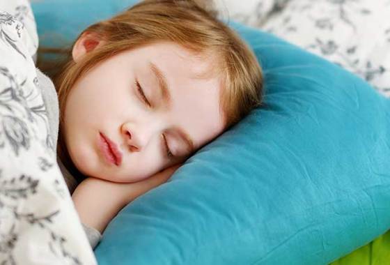 Best Coleman Airbeds