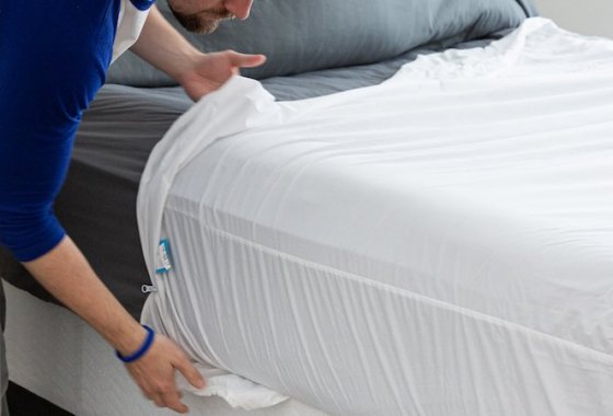 Best Bed Bug Mattress Covers