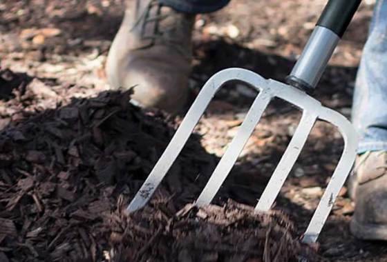 Best Spading Forks