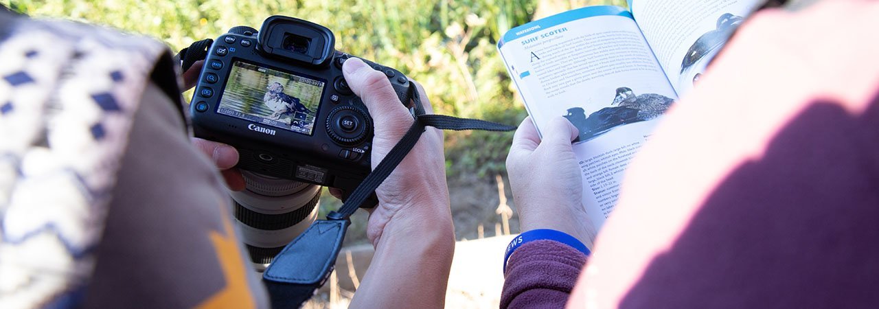 5 Best Bird Field Guides - Sept. 2022 - BestReviews