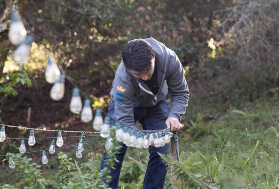 Best Solar String Lights