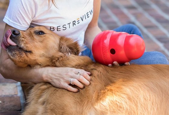 Best Calming Products for Dogs