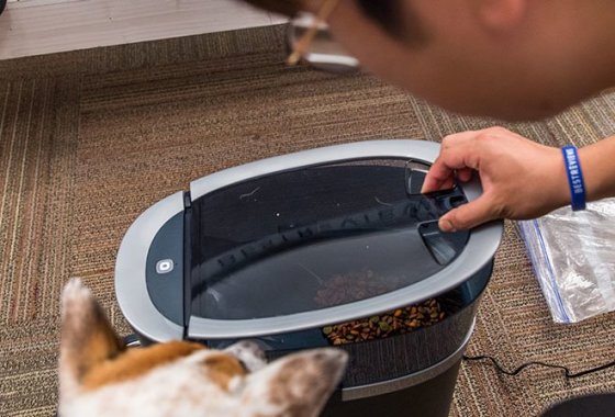 Best Smart Pet Feeders
