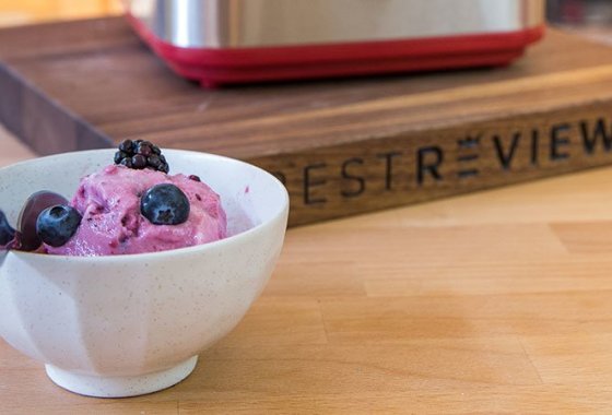 Best Soft Serve Mixes