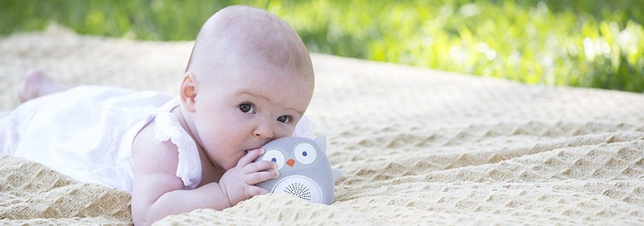 5 Best Baby Soothers - Aug. 2021 - BestReviews