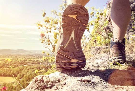 Best Men's Lowa Boots