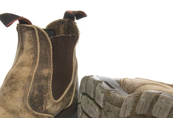 Best Women's Blundstone Boots