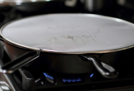 Best Splatter Screens