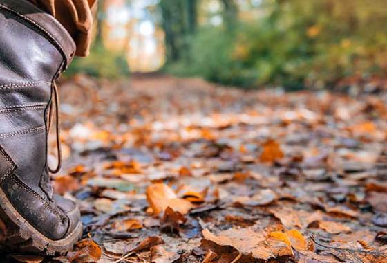 Best Men's Blundstone Boots