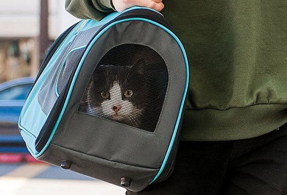 Best TSA-Approved Pet Carriers