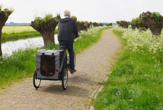 Best Dog Bicycle Trailers