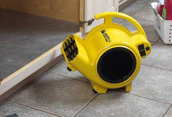 Best Carpet Dryers