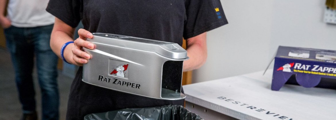 The 5 Best Mousetraps of 2024