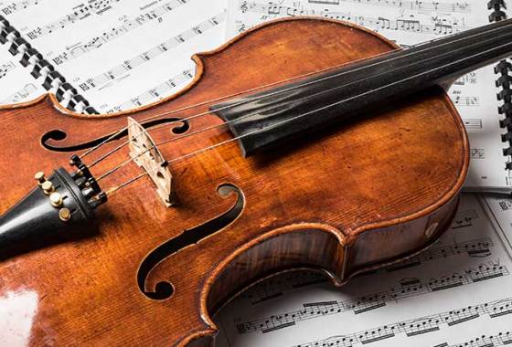 Best Violas