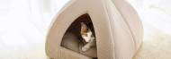 5 Best Covered Cat Beds Nov 2020 BestReviews 5 Best Covered Cat Beds Nov 2020 BestReviews