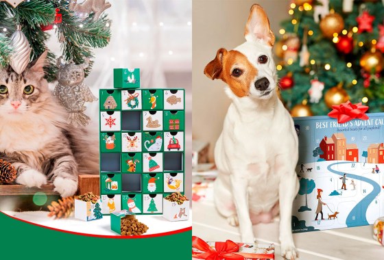 Yes, you can buy an Advent calendar for your dog (or cat)