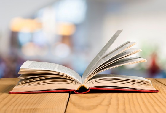 Pinterest’s Summer 2025 Trend Report: Books clubs are in