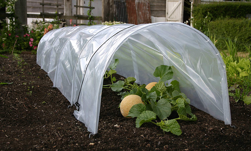 5 Best Plant Covers Sept. 2024 BestReviews