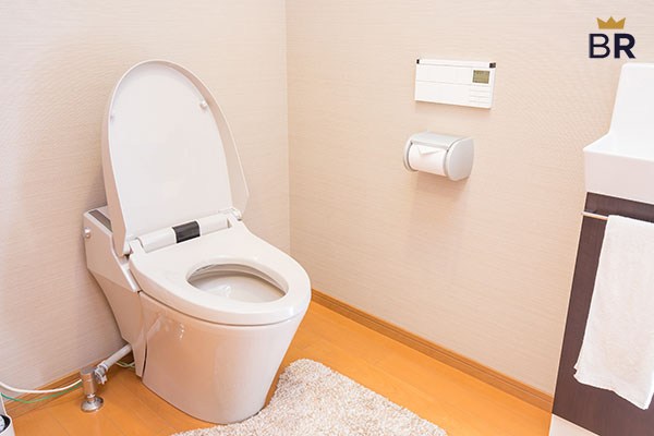 5 Best Toilet Lights - Jan. 2024 - BestReviews