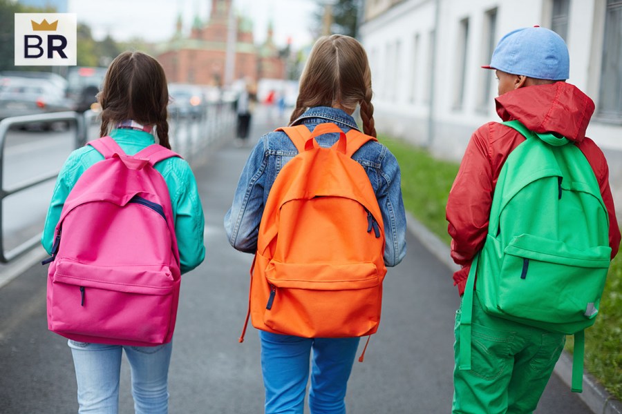 5 Best School Backpacks Aug. 2024 BestReviews