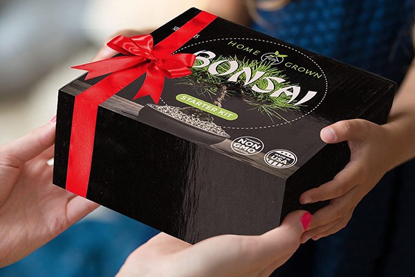 Bonsai Starter Kits Seeds