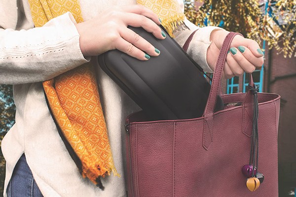 nintendo switch travel cases