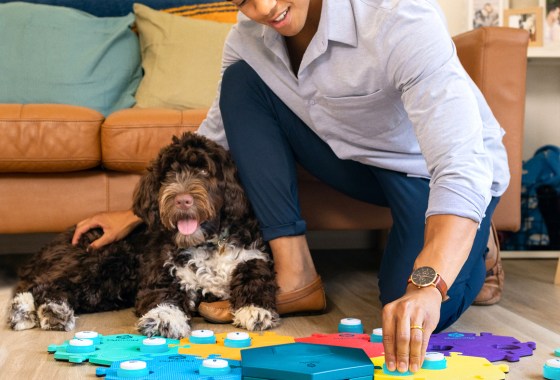 Do training buttons that teach dogs to talk actually work?