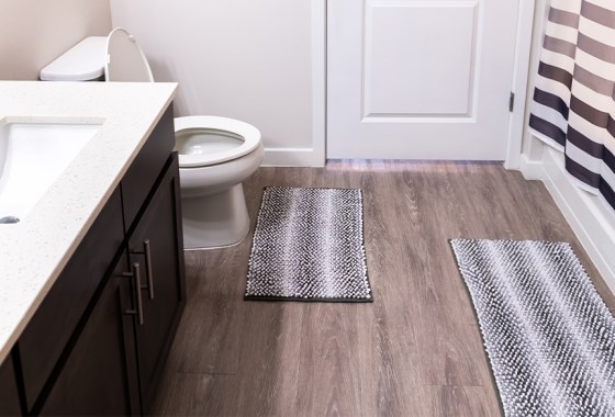 Best shower curtain set with rug