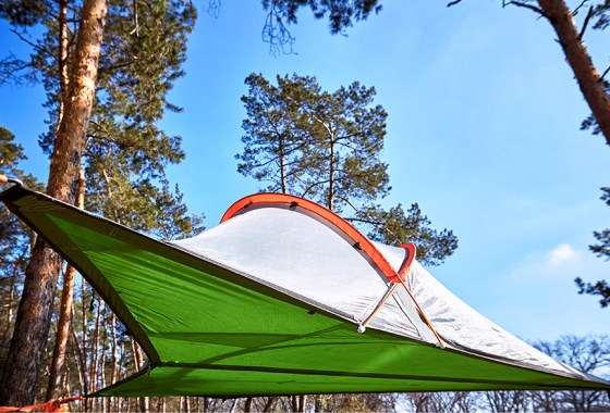 Best tree tent
