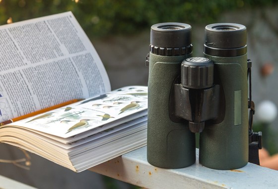 Best Vortex binoculars
