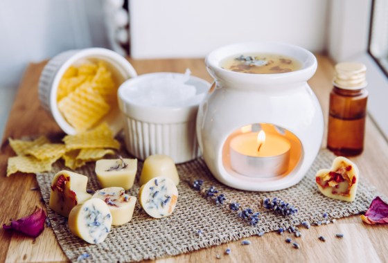 Best wax melt warmer