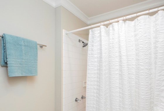 Best Wayfair shower curtain