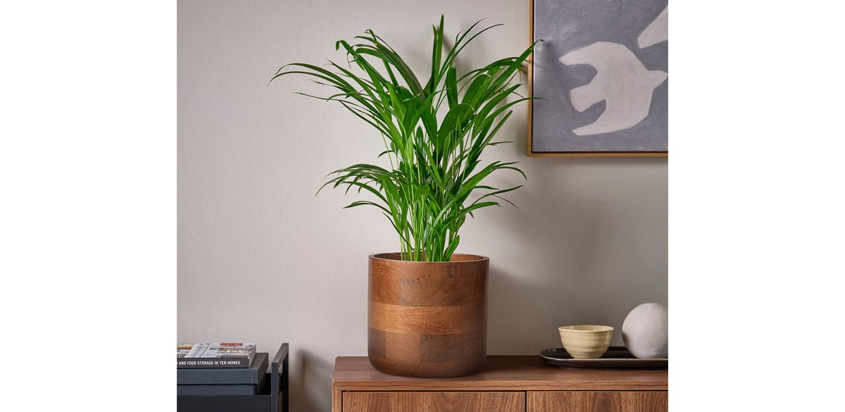 SVARTHATTA Plant pot, mango wood