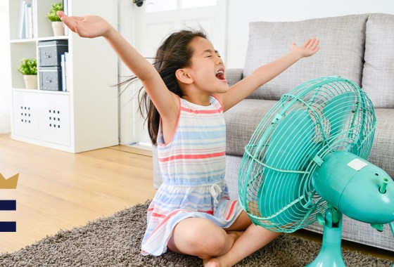 Which fan should I get?