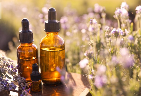 How to choose the best lavender essential oil