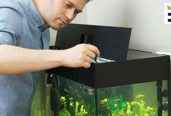 Best saltwater fish tank