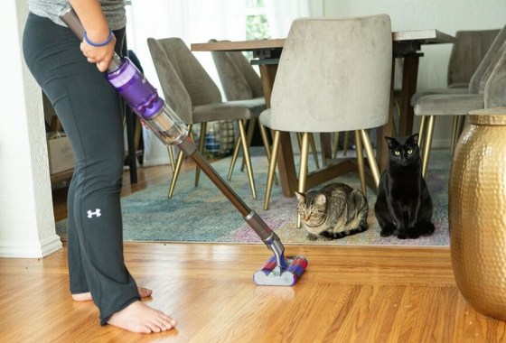 As allergy season continues, these vacuum cleaners are designed to help