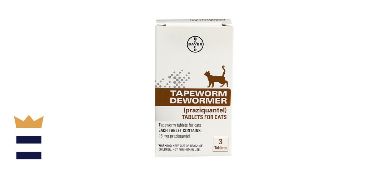 Best dewormer for cats